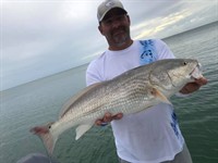 Gallery Image Red.jpg