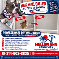 Gallery Image Sergeant%E2%80%99s_Professional_Drywall_Repair_Ad.png