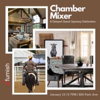 iFurnish Chamber Mixer and Delayed Grand Opening