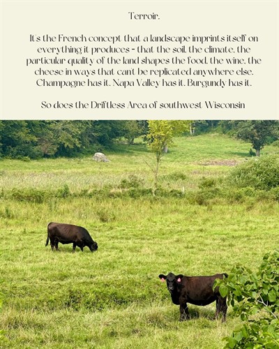 Gallery Image Terroir.jpeg