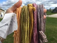 Knit, Spin, Weave, Dye!
