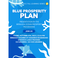 Blue Prosperity Plan Presentation