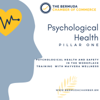 Psychological Health and Safety in the Workplace Pillar One: Psychological Health