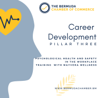 Psychological Health and Safety in the Workplace Pillar Three: Career Development