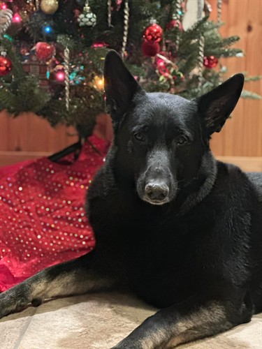 Gallery Image IMG_20260112_111847.jpg