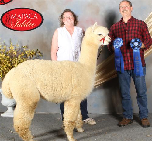 Gallery Image Cleo_Blue_ribbon_Mapaca_2023_business_card_edit.jpg