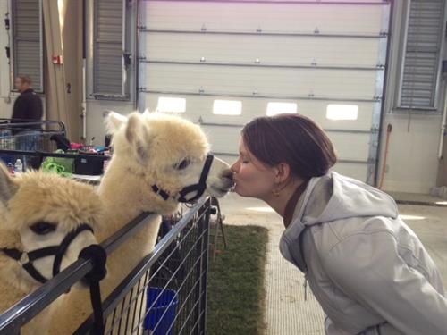 Gallery Image Julia_kissing_alpaca_at_MABA.JPG