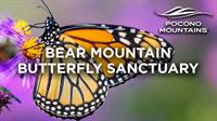 Lehigh Gorge Scenic Railway - Bear Mountain Butterfly Sanctuary - Jim Thorpe, Pa