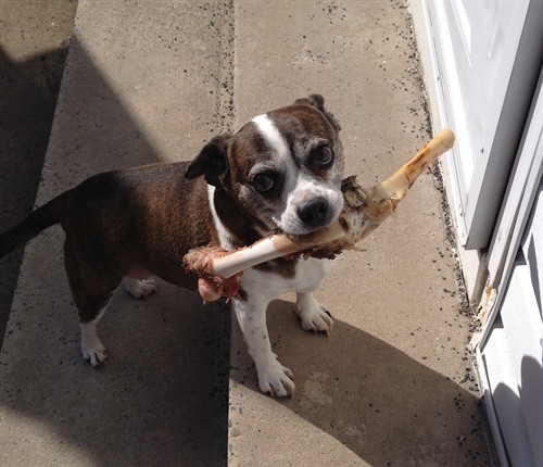 Gallery Image 20150406_203120319_iOS.jpg