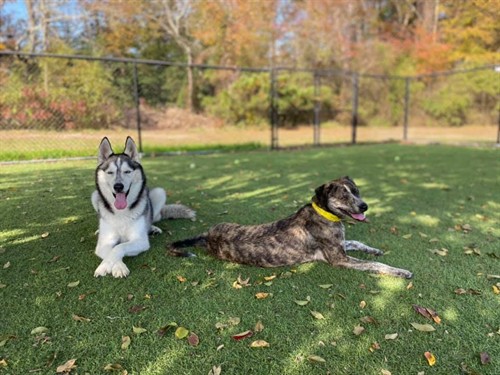 Gallery Image 255377114_10159651982089321_1525708022609030329_n.jpg