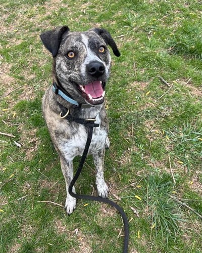 Gallery Image 432773956_791324353052517_8952392916124073525_n.jpeg