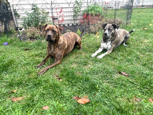 Gallery Image IMG_0277.jpeg