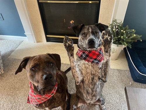 Gallery Image IMG_0364.jpg