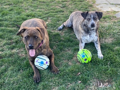 Gallery Image IMG_0770.jpg