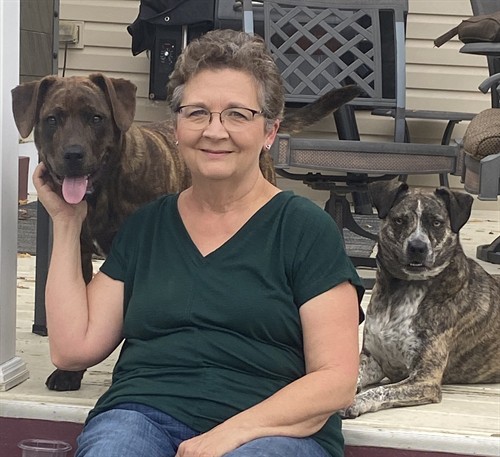 Gallery Image Image_for_About_page.jpg