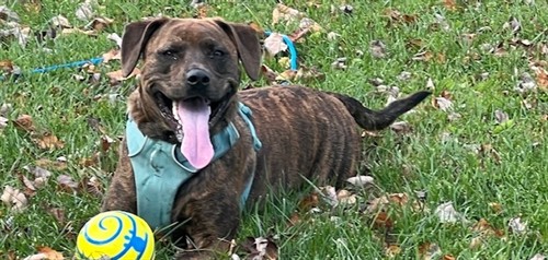 Gallery Image Just_Kaia.jpeg