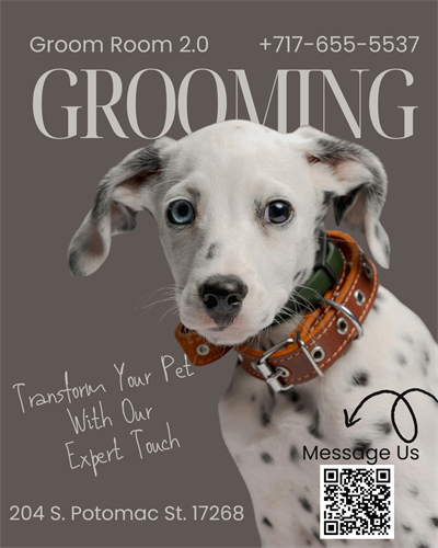 Gallery Image Flyer1.png
