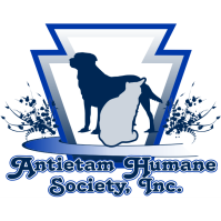 Antietam Humane Society Launches Round One Voting for Ales for Tails Contest