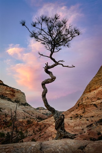 David Barthel – Photography