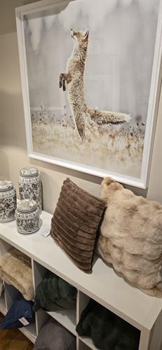 Gallery Image 1000022988.jpg