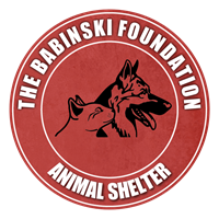 The Babinski Foundation Microchip Clinic