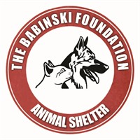 Adoptions at Cuyuna Farmers Market!