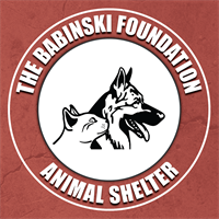November Community Dog Walk!