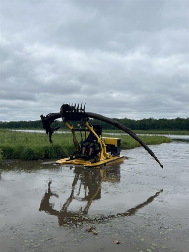 Gallery Image Boat_lifting_old_tree.jpg