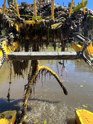 Gallery Image IMG-1378.jpg