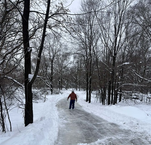 Forest Ice Skating 