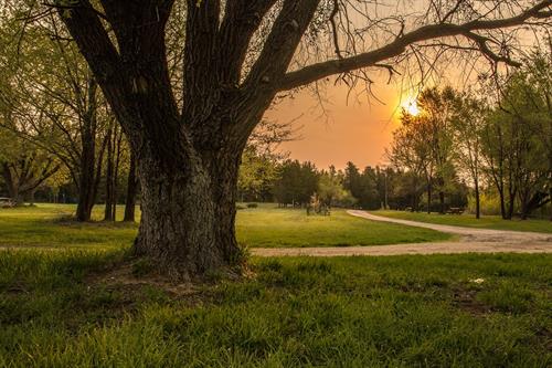 Sunrise at the Arb