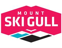 Mount Ski Gull