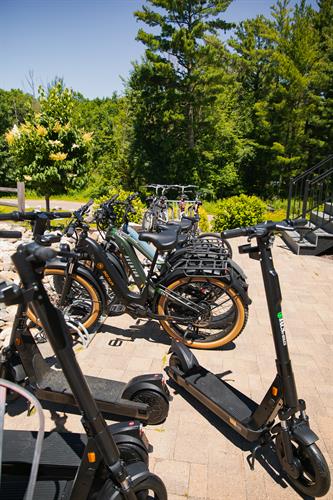 E-Bike Rentals