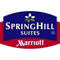 Networking Extravaganza @ SpringHill Suites