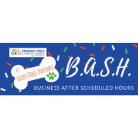 B.A.S.H : Business After Scheduled Hours @ Lucky Dogs 