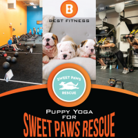 Puppy Yoga for Sweet Paws Rescue