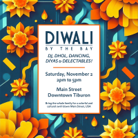 Downtown Diwali Celebration