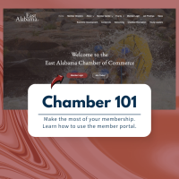 Chamber 101: January 2025