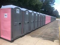 Gallery Image row_of_pinks.jpg