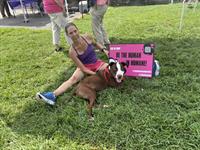 Volunteers making a difference