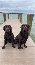 Sadler Marine LLC
