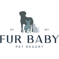 FurBaby Pet resort Expends to Easton, MD:  A Luxury Experience for Your Pets