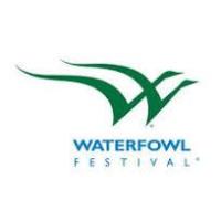 Waterfowl Festival 2025 - applications for artists and exhibitors are now open for the 2025 event.