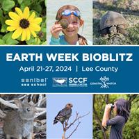 SCCF Earth Week BioBlitz