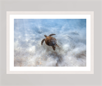 Art Show: "Tides & Times" Ft. Shane Antalick and Lafe James