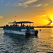 Christmas Eve Sunset Dolphin & Wildlife Cruise
