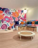 Playrooms Featuring Big Dreams in Full Color