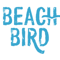 Beach Bird - Oyster Bay