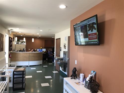 SpayToday Healthy Pet Center SpayToday Healthy Pet Center