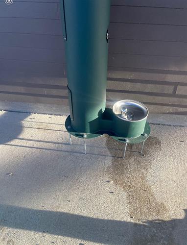 Dog Fountain JK Plumbing